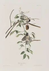 Ilustración de 