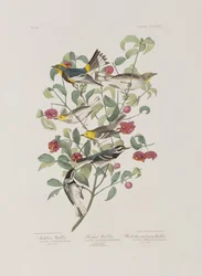 Ilustración de 