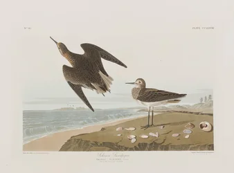 Ilustración de 