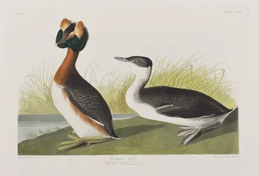 Ilustración de 