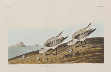 Ilustración de 