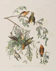 Ilustración de 