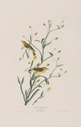 Ilustración de 