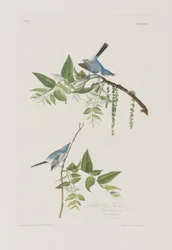 Ilustración de 