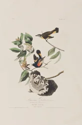 Ilustración de 
