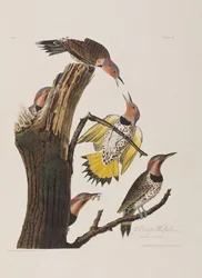 Ilustración de 