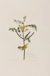 Ilustración de 