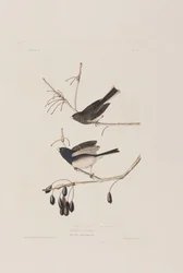 Ilustración de 
