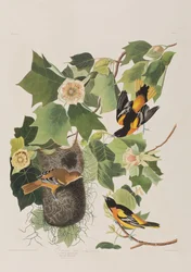 Ilustración de 