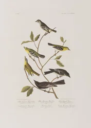 Ilustración de 