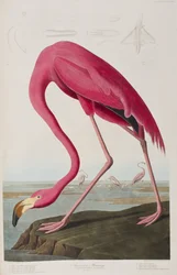 Ilustración de 