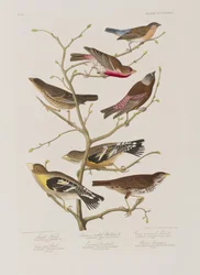 Ilustración de 