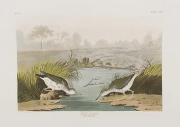 Ilustración de 