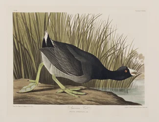 Ilustración de 