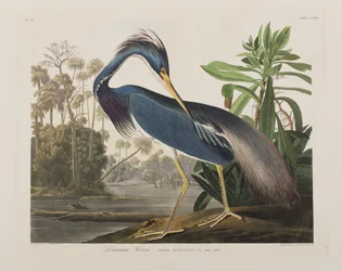 Ilustración de 