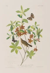 Ilustración de 