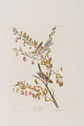 Ilustración de 