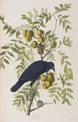 Ilustración de 