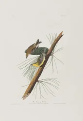 Ilustración de 