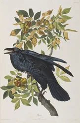 Ilustración de 