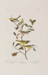 Ilustración de 