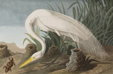 Ilustración de 