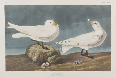 Ilustración de 