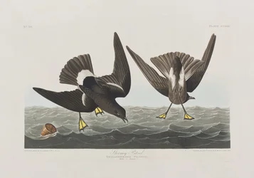 Ilustración de 