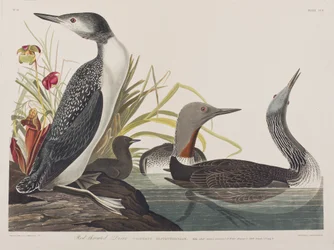 Ilustración de 