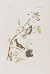 Ilustración de 