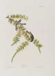 Ilustración de 