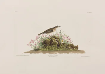 Ilustración de 