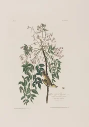 Ilustración de 