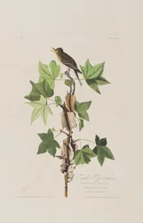 Ilustración de 