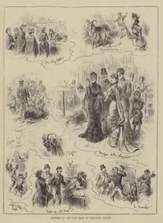 Bocetos en la Feria de Cabras en el Alexandra Palace