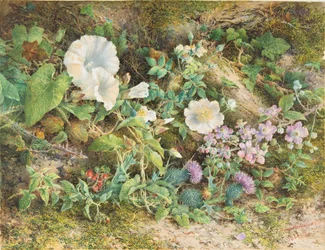 Estudio de flores, 1866