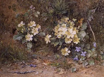 Primaveras y Violetas en un banco musgoso