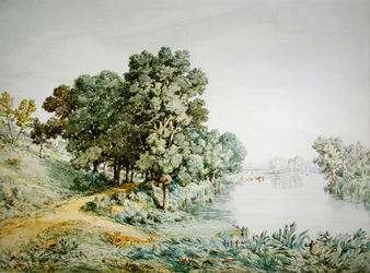 Postwick Grove en el río Yare