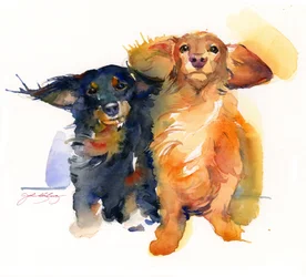 Dúo de Dachshund