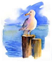 Gaviota en el Muelle