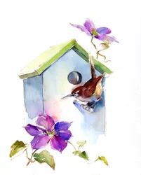 Chochín con Casita de Pájaros y Clemátides