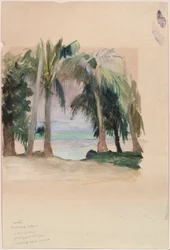 palmeras junto al mar