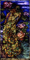 Vidriera del pavo real, 1892-1908