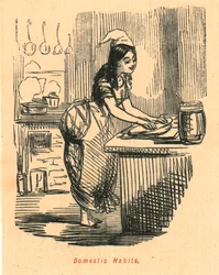 Hábitos Domésticos, 1897