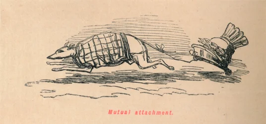 Apego mutuo, 1852
