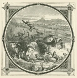 Cuando viene el lobo, los bueyes dejan de pelear para unirse en defensa propia (grabado)