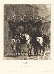 Tratos de caballos