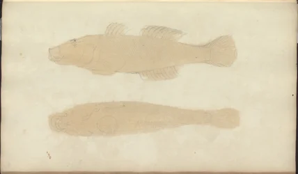 Dibujos de Lindsay Vol. VII, 21