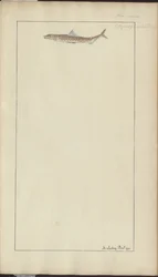Dibujos de Lindsay Vol. VII, 23