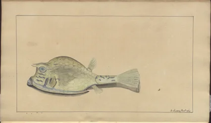 Dibujos de Lindsay Vol. VII, 25